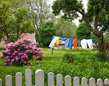 Malerischer Ort mit Wäscheleine, grüner Wiese, blumigen Büschen und Gartenzaun im Sommer auf Hiddensee von Stefan Dinse