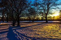 Zonsondergang in de sneeuw