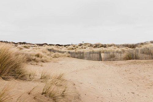 Dunes in the Westduinpark in Scheveningen