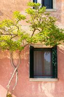 Torcello Italië | Lagune van Venetië