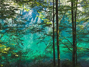 Aan de oever van de Königssee van Aurica Voss