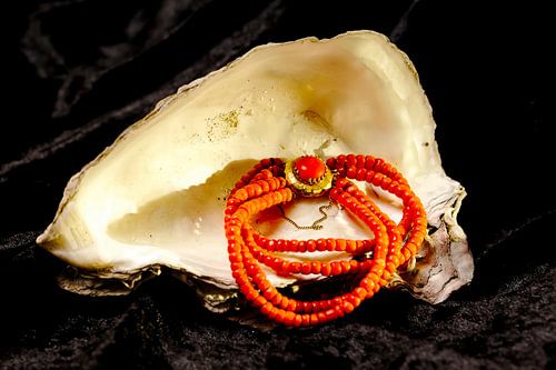 Blood coral necklace in oyster shell