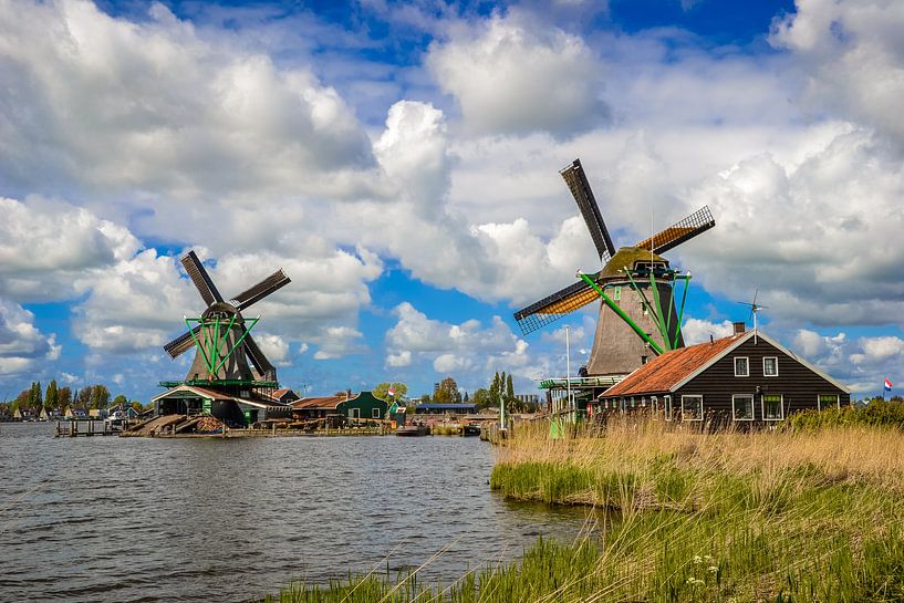 Zaanse mills by Sabine Claus