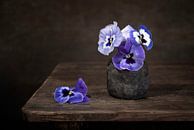 Nature morte avec des violettes par Silvia Thiel Aperçu