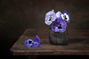 Nature morte avec des violettes sur Silvia Thiel