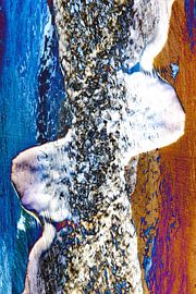 Abstract 44 sur Pieter van Roijen