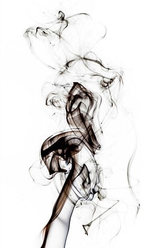 Abstracte zwarte rook - Zeepaardje