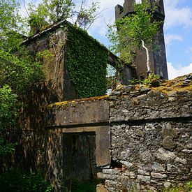 Lost place Forgotten Castle in Irland von Thomas Zacharias