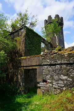 Lost Place Forgotten Castle in Ireland by Thomas Zacharias