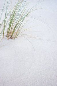 Helm maakt tekening op het zand