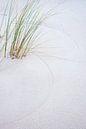 Helm maakt tekening op het zand von Margreet Frowijn Miniaturansicht