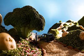 Paysage alimentaire avec du brocoli sur M. Diaz