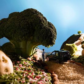 Broccoli pauze van Marlon Mendonça Dias