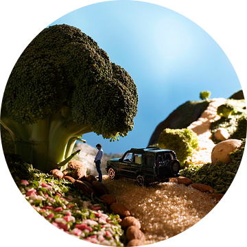 Broccoli pauze van Marlon Dias
