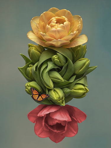 Eigentijds Bloemstilleven van Tulp - Royal tulp