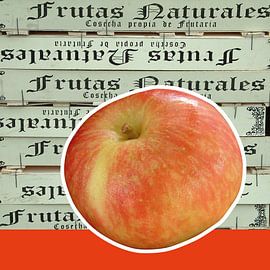 Solo apple by Irene Polak