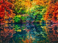 Autumn forest with lake in art colors