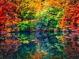 Herfstbos met meer in kunstkleuren