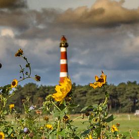 Ameland lighthouse 'Bornrif' by Lizanne van Spanje