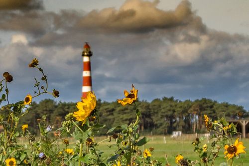 Phare de l'Ameland 