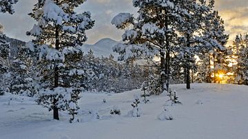 Norwegen, Sonnenaufgang van Michael Schreier