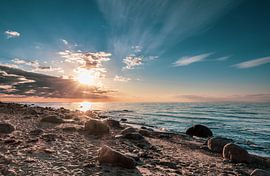 Stony beach by Werner Reins