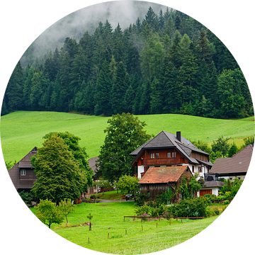 Schwarzwald boerderij in Glottertal