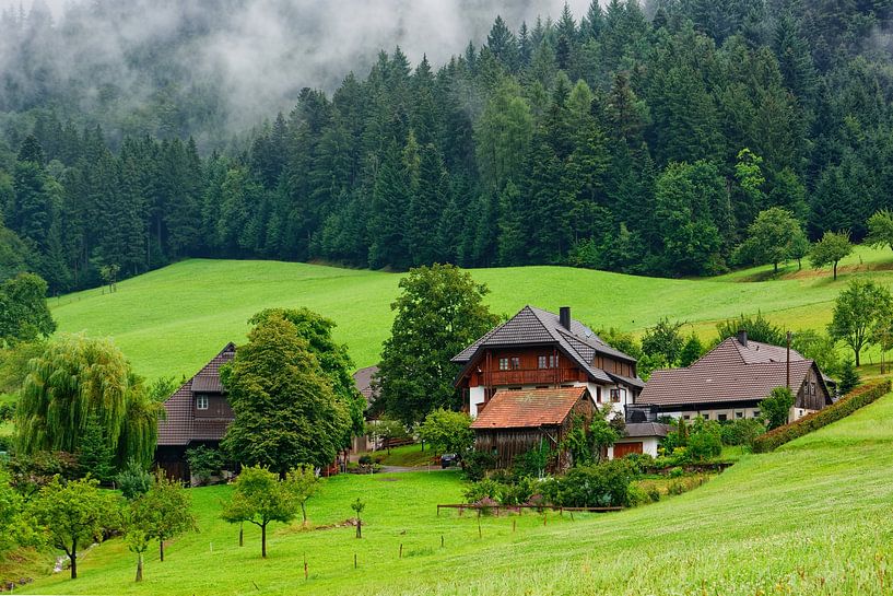 Black Forest Farmhouse in Glottertal by Gisela Scheffbuch