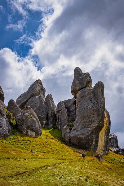 Eindrucksvoller Burgberg, Neuseeland von Rietje Bulthuis