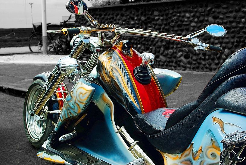 American Beauty by Doms Photos