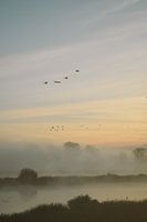 Mistige herfst