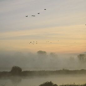 Nebliger Herbst von Jisca Lucia