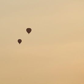 Luchtballon van Roger Gulpers