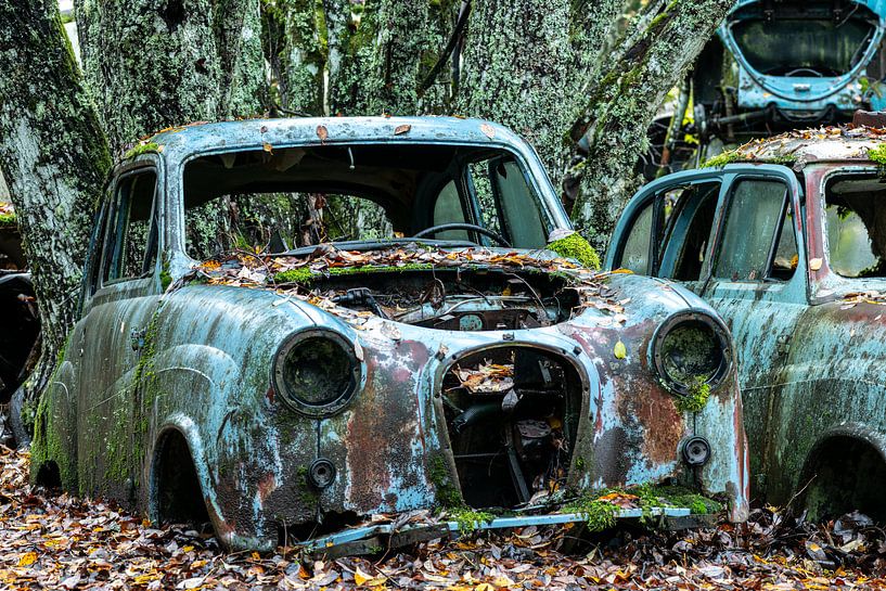 Langsam erlangt die Natur wieder Besitz von den Rohstoffen, aus denen diese Autos gebaut werden. von Gerry van Roosmalen