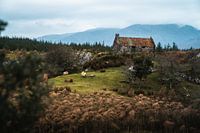 Idyllisches Inneres Irland | Horizontal