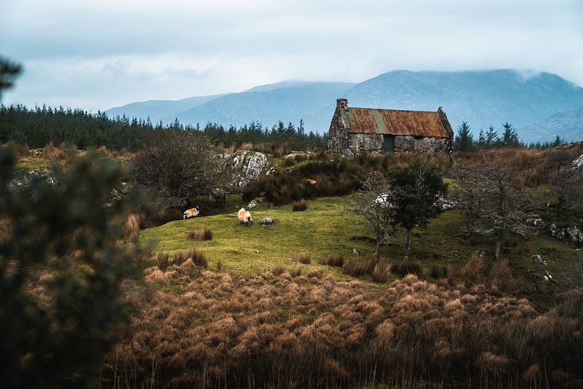 Idyllisches Inneres Irland | Horizontal von Bastiaan’s shop