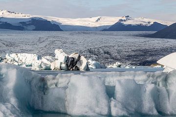 IJsland, uitzicht op gletsjer van Eric van Nieuwland