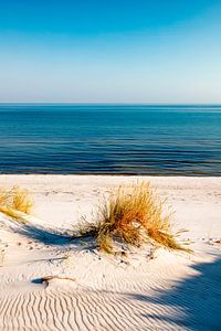 Dunes and the sea by Sascha Kilmer