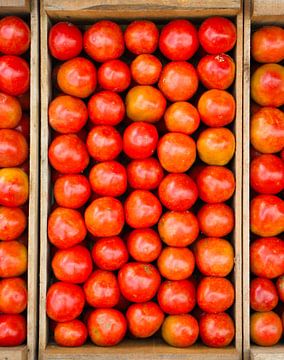 Heerlijke tomaten op een Surinaamse markt van Natuurpracht   Kees Doornenbal