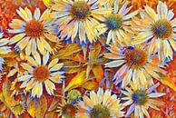 Weisse Blumen Abstrakt von Patricia Piotrak Miniaturansicht