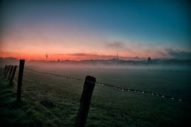 Wesel sur Felix Winkelhausen