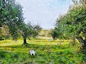 Lucy In The Olive Grove by Dorothy Berry-Lound thumbnail