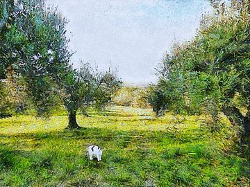 Lucy In The Olive Grove van Dorothy Berry-Lound