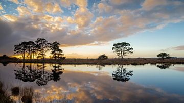 Coucher de soleil dans le parc national de Dwingelderveld sur Menno Schaefer