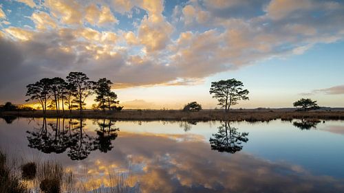 Coucher de soleil dans le parc national de Dwingelderveld