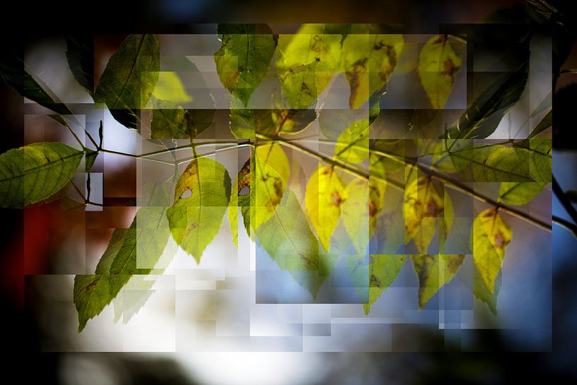 Autumn van Henk Leijen