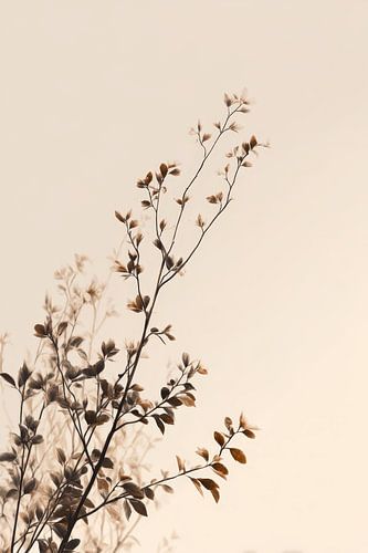 Abstracte kunst Japan