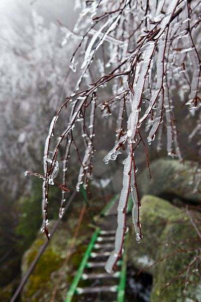 Art of Nature 5 by t.ART