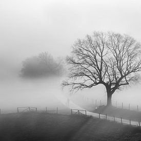 Oude eik in winterse mist van Yvonne Albe