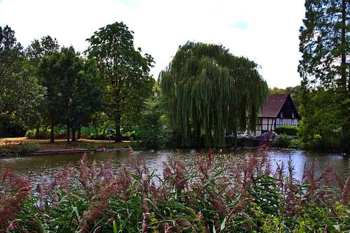 Lohmühlenpark 3